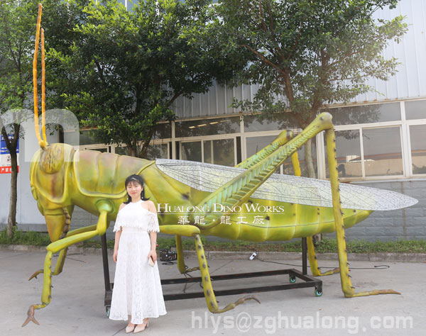 華龍藝術(shù)大型仿真蚱蜢模型 華龍藝術(shù)大型仿真蚱蜢模型